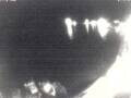 Webcam Valun (Cherso)