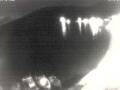 Webcam Valun (Cres)