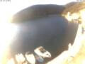 Webcam Valun (Cres)