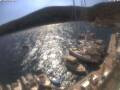 Webcam Valun (Cres)