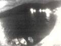Webcam Valun (Cherso)