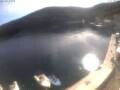 Webcam Valun (Cres)