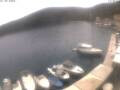 Webcam Valun (Cres)