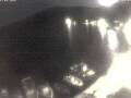 Webcam Valun (Cherso)