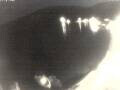 Webcam Valun (Cres)