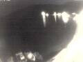 Webcam Valun (Cres)