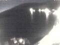 Webcam Valun (Cres)