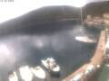Webcam Valun (Cres)