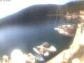 Webcam Valun (Cherso)