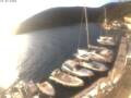 Webcam Valun (Cres)