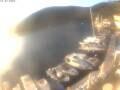 Webcam Valun (Cres)