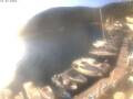 Webcam Valun (Cres)