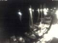 Webcam Valun (Cres)