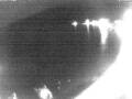 Webcam Valun (Cres)
