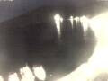 Webcam Valun (Cres)