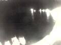 Webcam Valun (Cres)