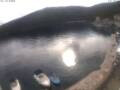 Webcam Valun (cres)