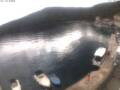Webcam Valun (Cres)