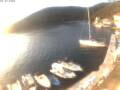 Webcam Valun (Cres)