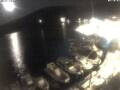 Webcam Valun (cres)