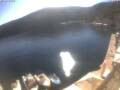 Webcam Valun (Cres)