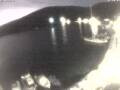 Webcam Valun (Cres)