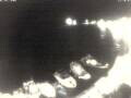 Webcam Valun (Cres)