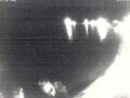Webcam Valun (Cres)