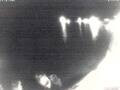 Webcam Valun (Cherso)