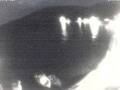 Webcam Valun (Cres)