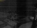 Webcam Scharendijke