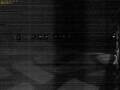 Webcam Scharendijke