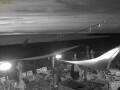 Webcam Scharendijke