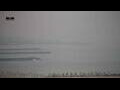 Webcam Espinho