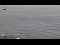 Webcam Ericeira