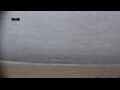 Webcam Praia de Mira