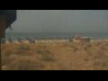 Webcam Alvor (Algarve)