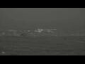 Webcam Alvor (Algarve)