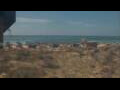 Webcam Alvor (Algarve)