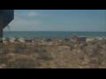Webcam Alvor (Algarve)