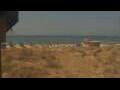 Webcam Alvor (Algarve)