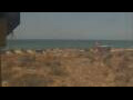 Webcam Alvor (Algarve)