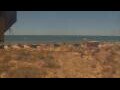 Webcam Alvor (Algarve)