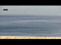 Webcam Vilamoura