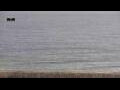 Webcam Vilamoura