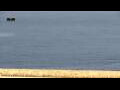 Webcam Vilamoura