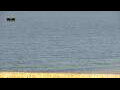 Webcam Vilamoura
