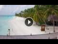 Webcam Meeru Island (Nord-Malé-Atoll)