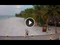 Webcam Meeru Island (North Malé Atoll)