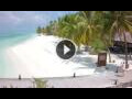 Webcam Isla Meeru (Atolón norte de Malé)